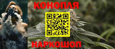 гашик Будённовск