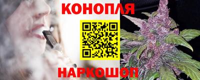 гашик Будённовск