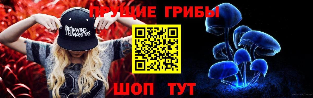 Пушкино  Галлюциногенные грибы Cubensis  Вход с VPN  Галлюциногенные грибы прущие грибы 